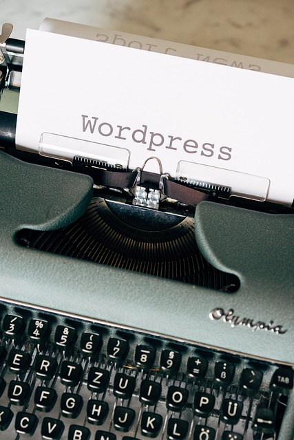 Waarom een standaard WordPress kiezen?